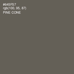 #645F57 - Pine Cone Color Image